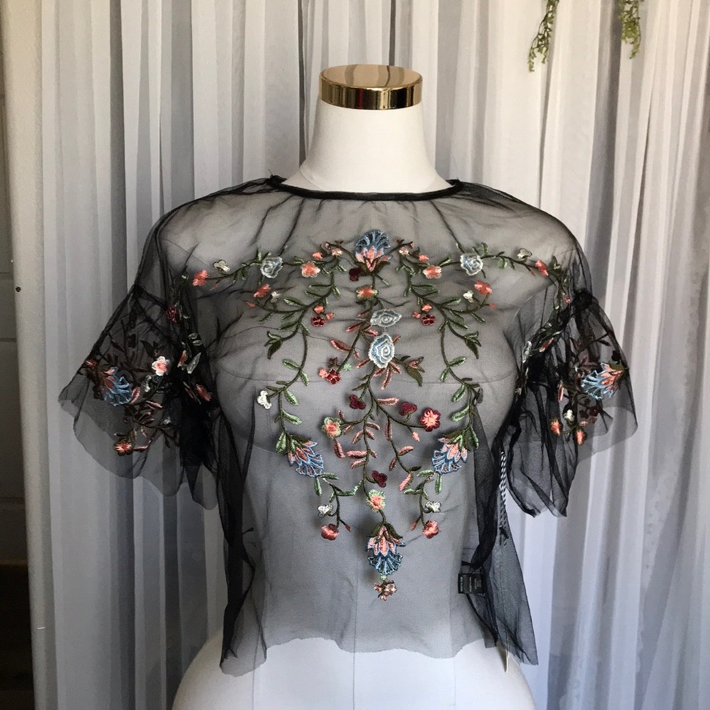 Embroidered Black Sheer Top